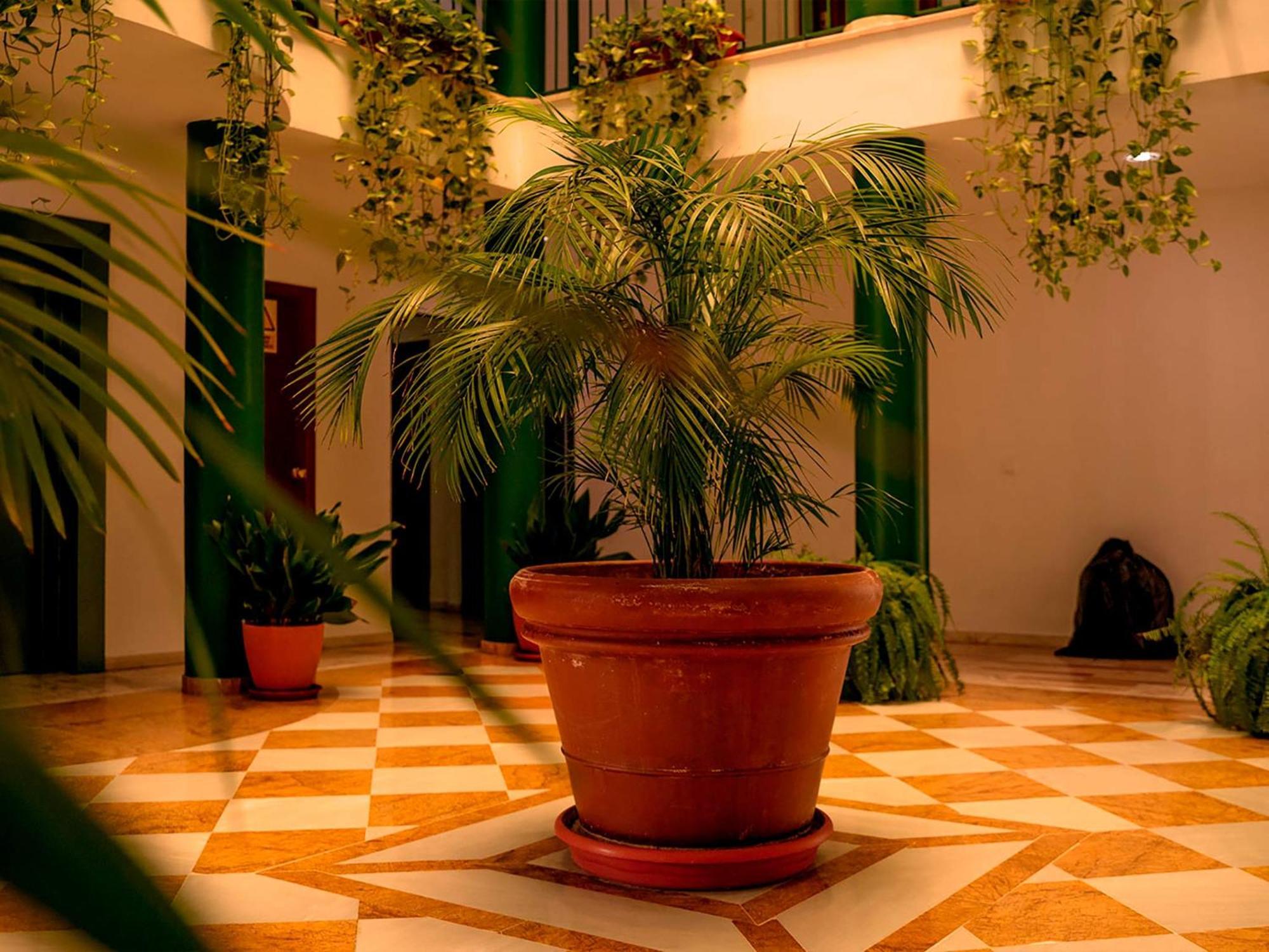 Apartamentos Vertice Bib Rambla إشبيلية المظهر الخارجي الصورة